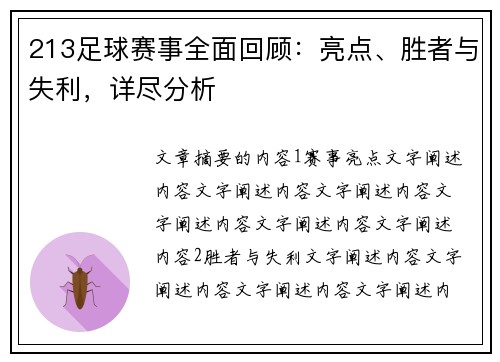 213足球赛事全面回顾：亮点、胜者与失利，详尽分析