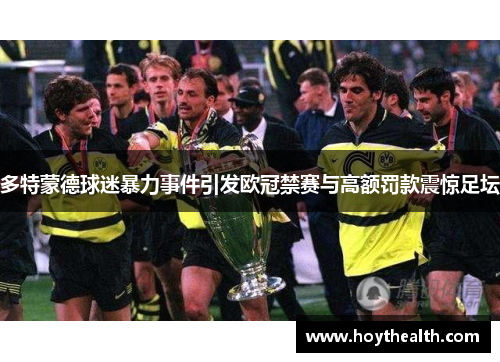 多特蒙德球迷暴力事件引发欧冠禁赛与高额罚款震惊足坛